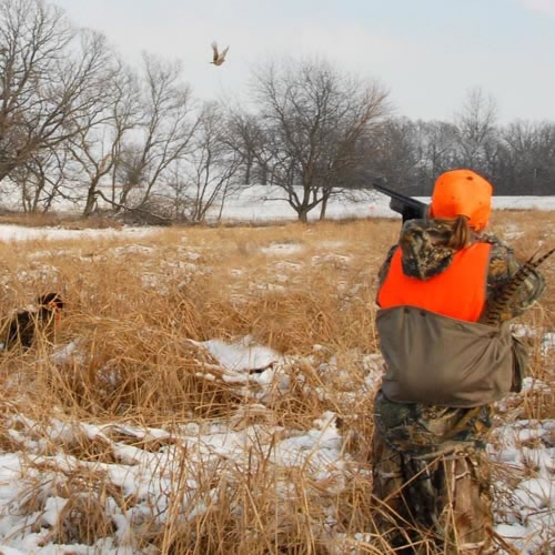 kid pheasant hunting kids hunting foundation